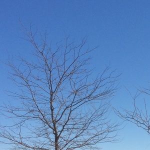 Meet your Posher, Jasmin